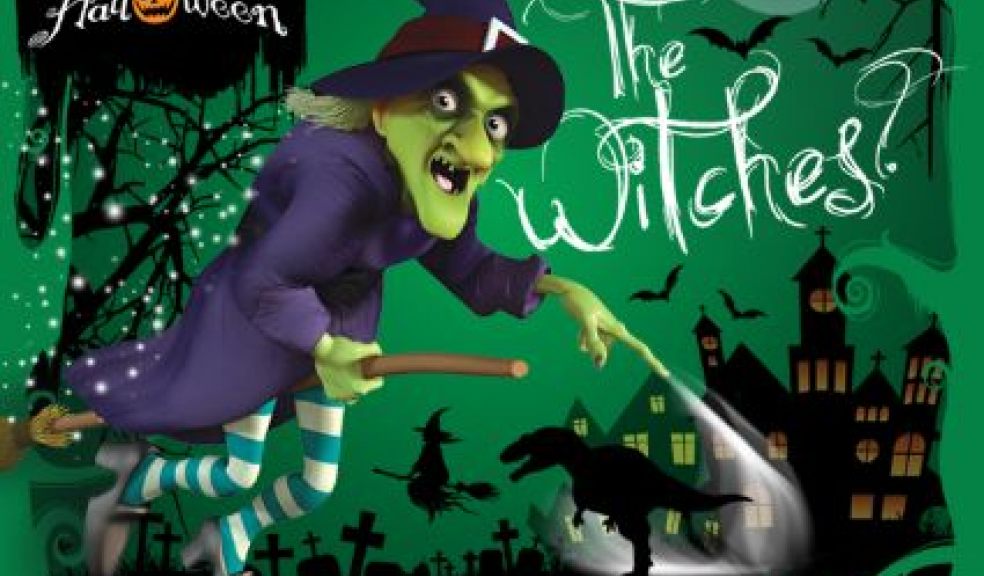 Hallowe'en at Devon's Crealy The Exeter Daily